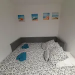 Petit Paradis Classe 3 Etoiles A 200m De La Plage! Terrasse-wifi-parking-clim