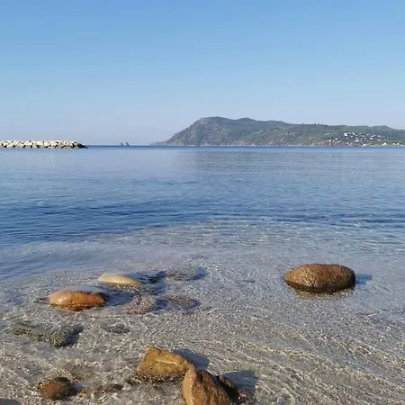 Petit Paradis Classe 3 Etoiles A 200m De La Plage! Terrasse-wifi-parking-clim Lejlighed *