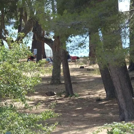 Lejlighed Petit Paradis Classe 3 Etoiles A 200m De La Plage! Terrasse-wifi-parking-clim Saint-Mandrier-sur-Mer