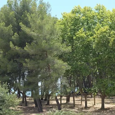 Petit Paradis Classe 3 Etoiles A 200m De La Plage! Terrasse-wifi-parking-clim Lejlighed