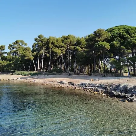 Petit Paradis Classe 3 Etoiles A 200m De La Plage! Terrasse-wifi-parking-clim Lejlighed *