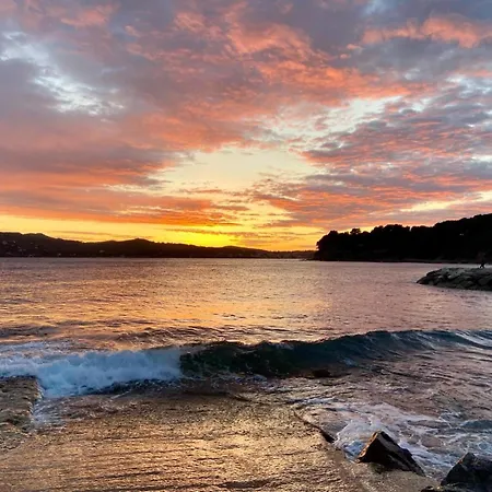 Petit Paradis Classe 3 Etoiles A 200m De La Plage! Terrasse-wifi-parking-clim Lejlighed *