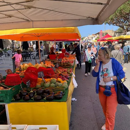 Petit Paradis Classe 3 Etoiles A 200m De La Plage! Terrasse-wifi-parking-clim Lejlighed