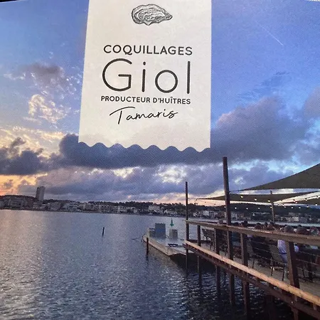 Petit Paradis Classe 3 Etoiles A 200m De La Plage! Terrasse-wifi-parking-clim Lejlighed *