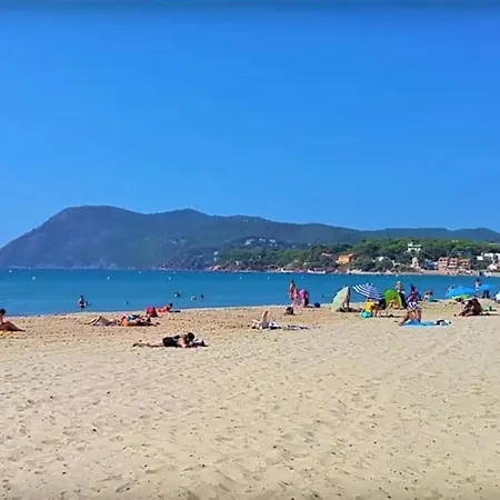 Petit Paradis Classe 3 Etoiles A 200m De La Plage! Terrasse-wifi-parking-clim Lejlighed